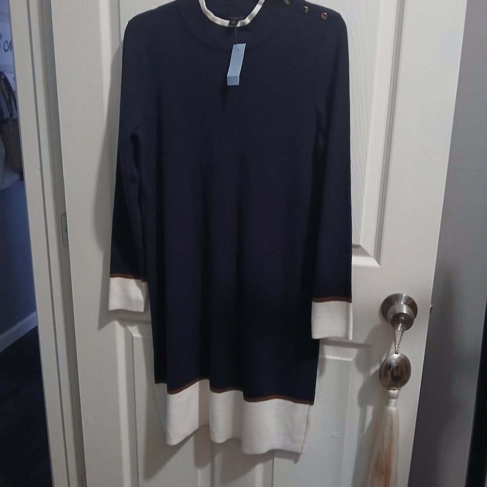 Ann Taylor Sweater Dress